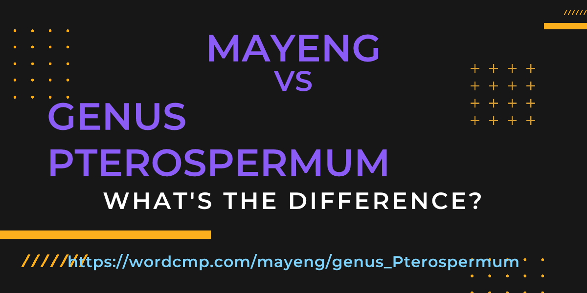 Difference between mayeng and genus Pterospermum