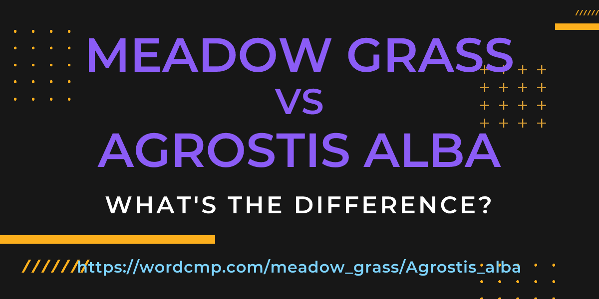 Difference between meadow grass and Agrostis alba