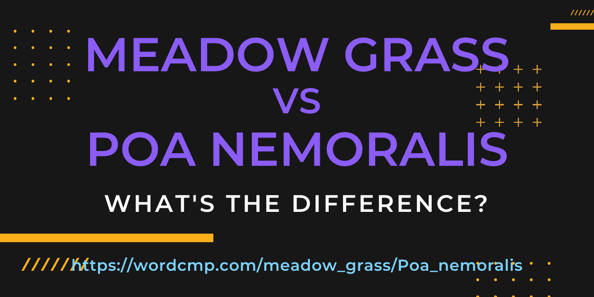 Difference between meadow grass and Poa nemoralis