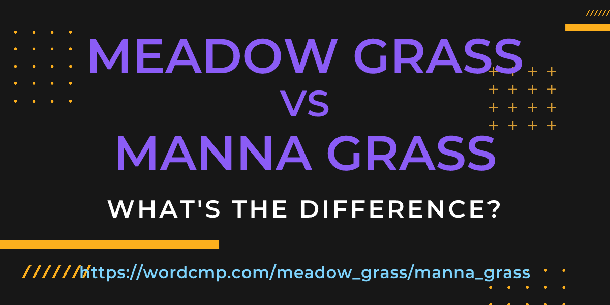 Difference between meadow grass and manna grass
