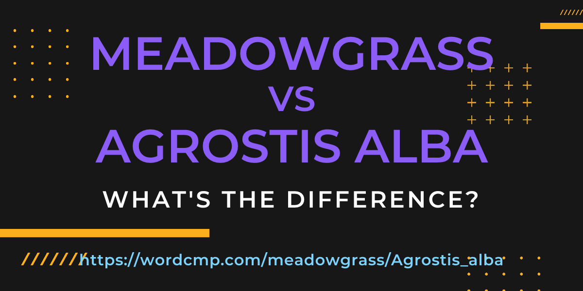 Difference between meadowgrass and Agrostis alba