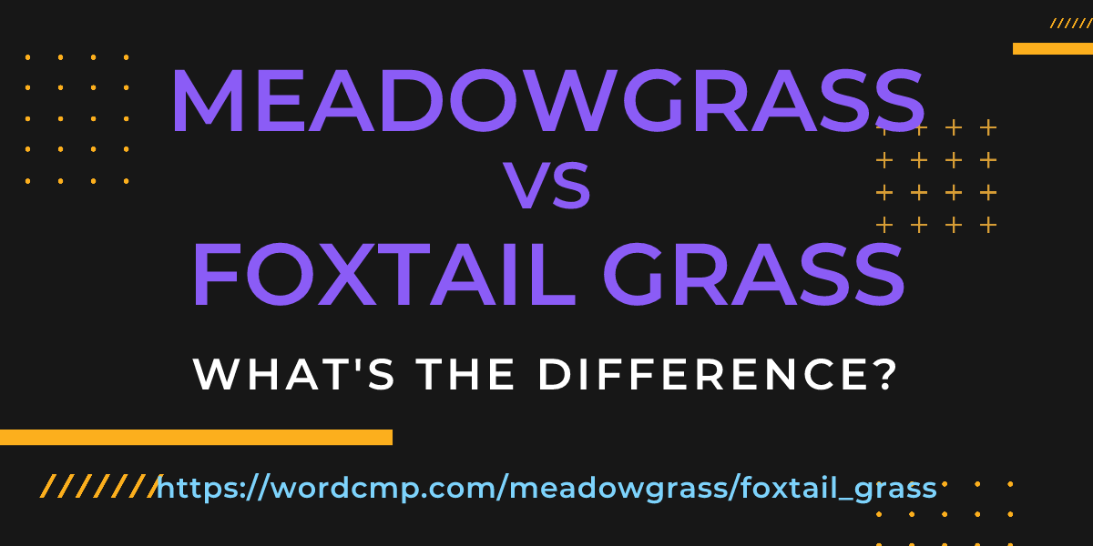 Difference between meadowgrass and foxtail grass