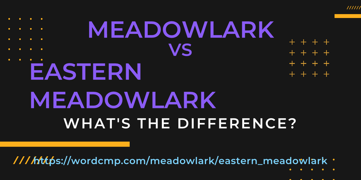 Difference between meadowlark and eastern meadowlark