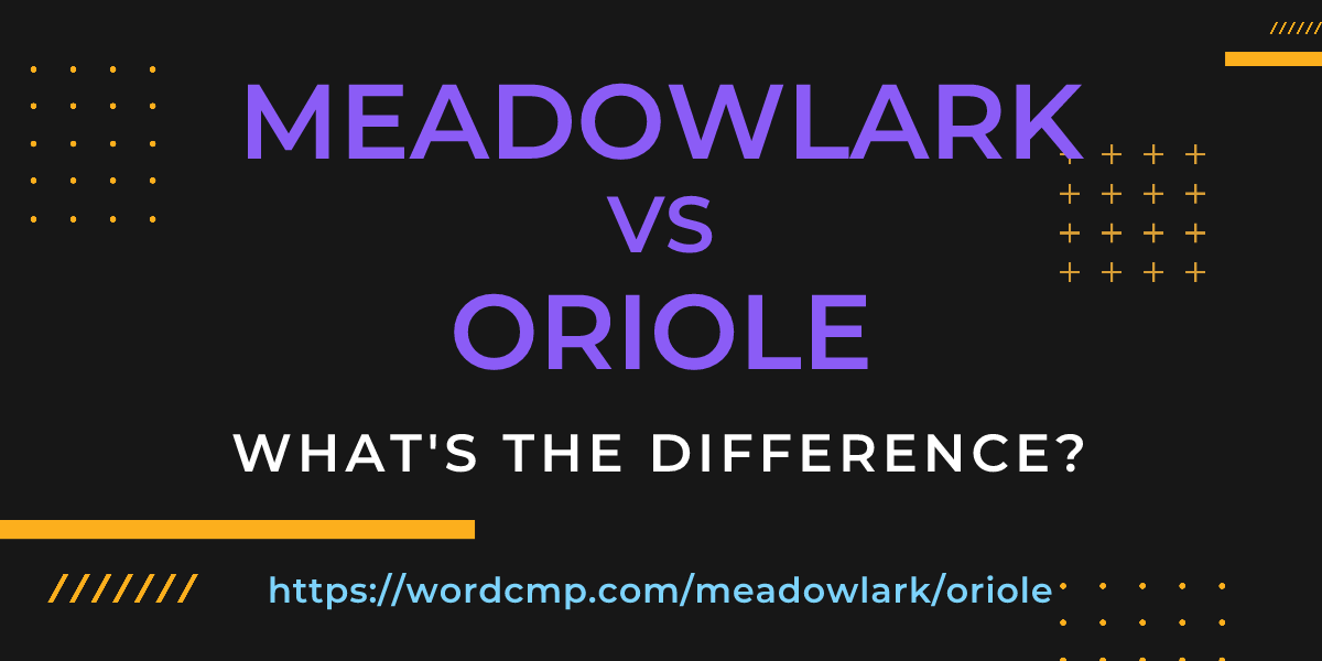 Difference between meadowlark and oriole