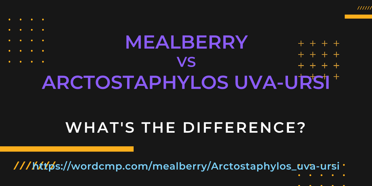Difference between mealberry and Arctostaphylos uva-ursi