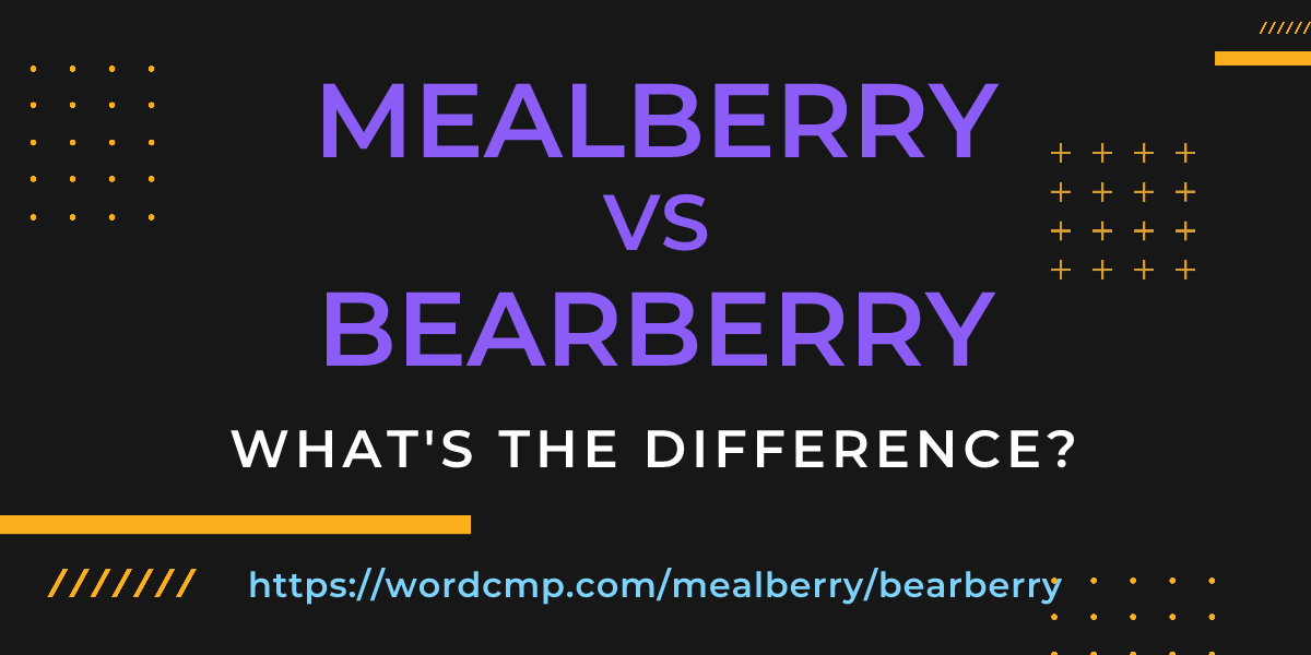 Difference between mealberry and bearberry