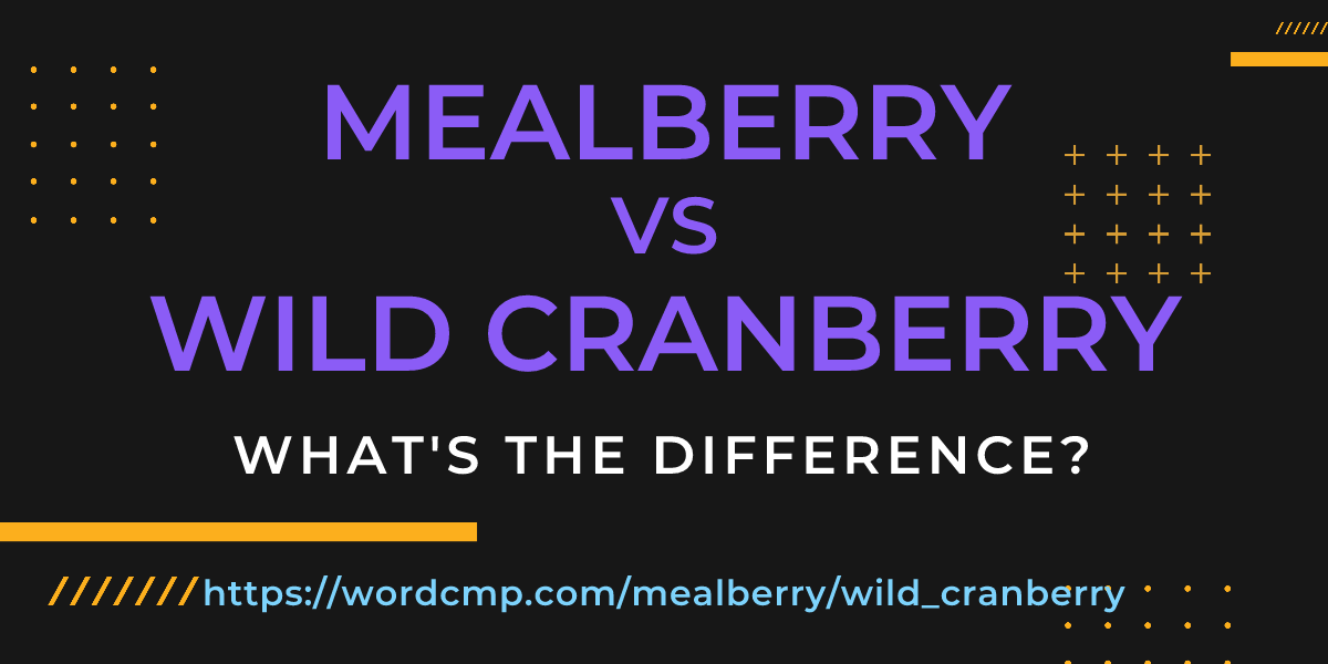 Difference between mealberry and wild cranberry