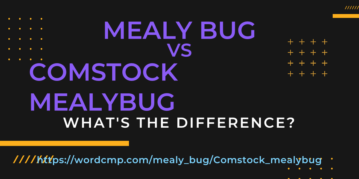Difference between mealy bug and Comstock mealybug