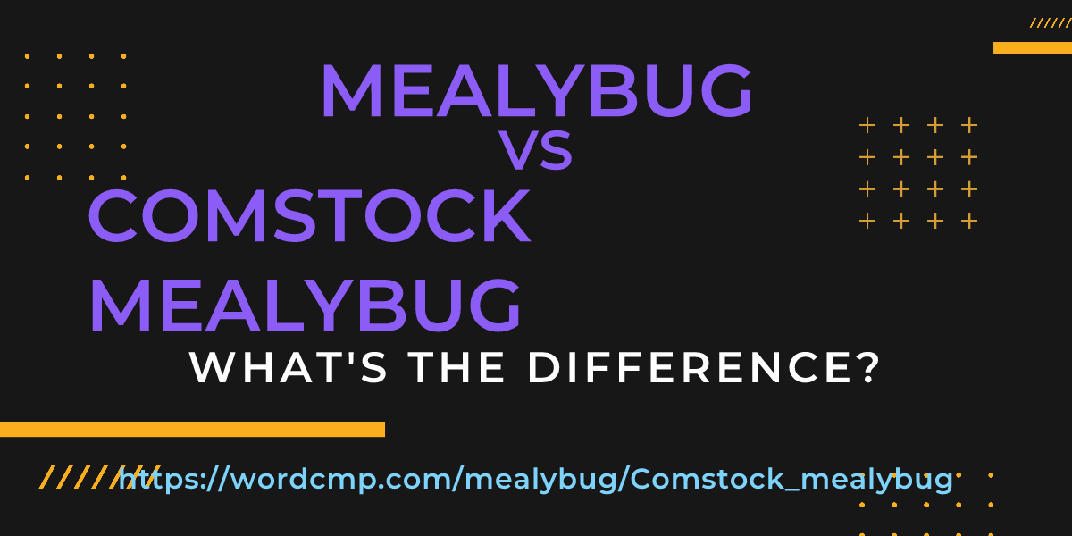 Difference between mealybug and Comstock mealybug