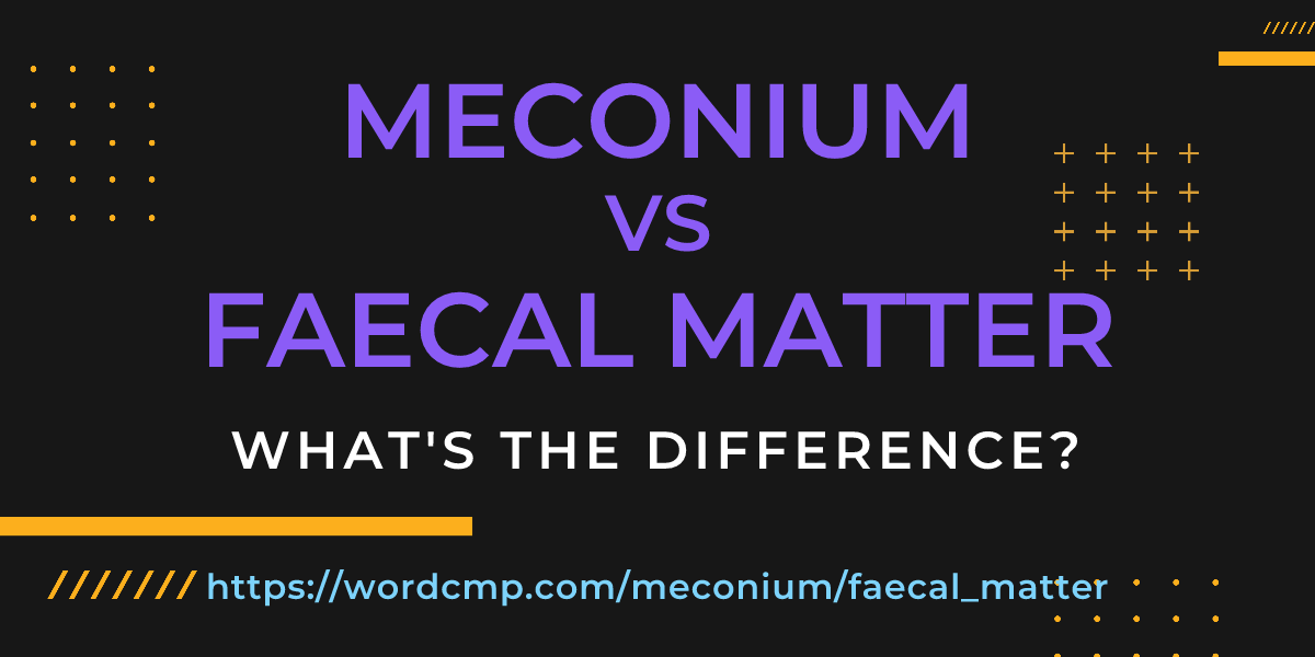 Difference between meconium and faecal matter