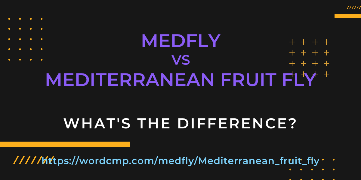 Difference between medfly and Mediterranean fruit fly