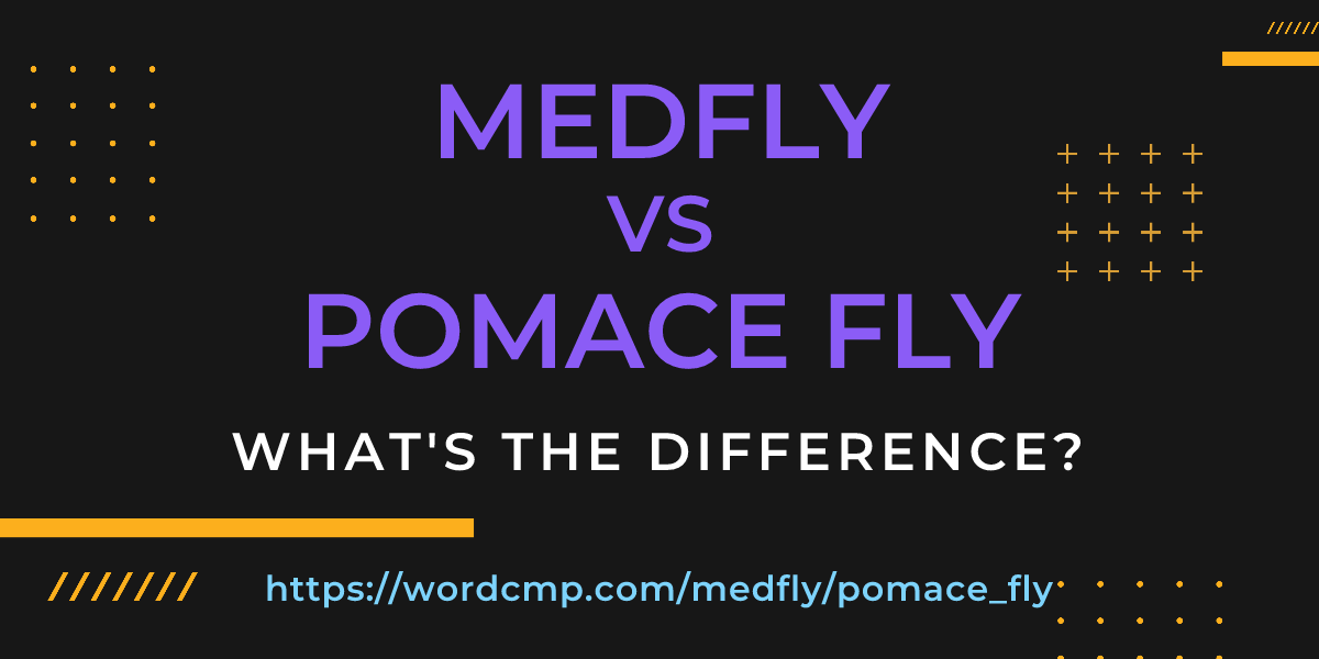 Difference between medfly and pomace fly