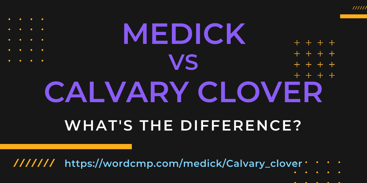 Difference between medick and Calvary clover
