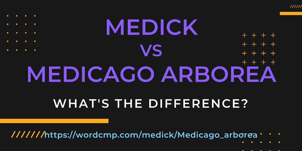 Difference between medick and Medicago arborea