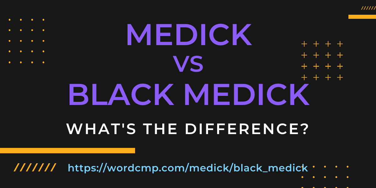 Difference between medick and black medick