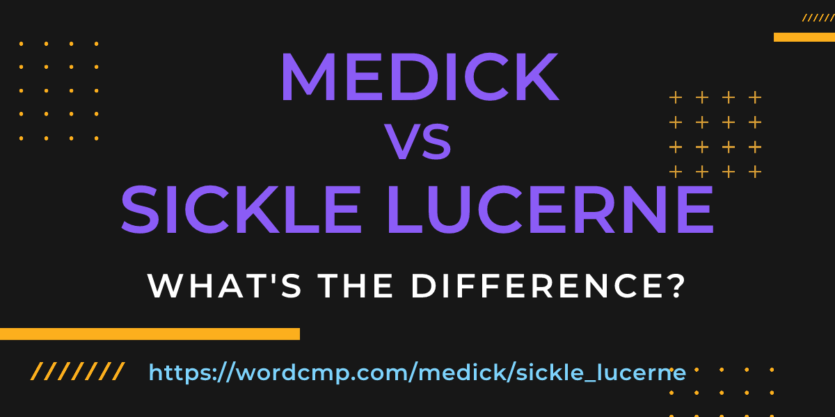 Difference between medick and sickle lucerne