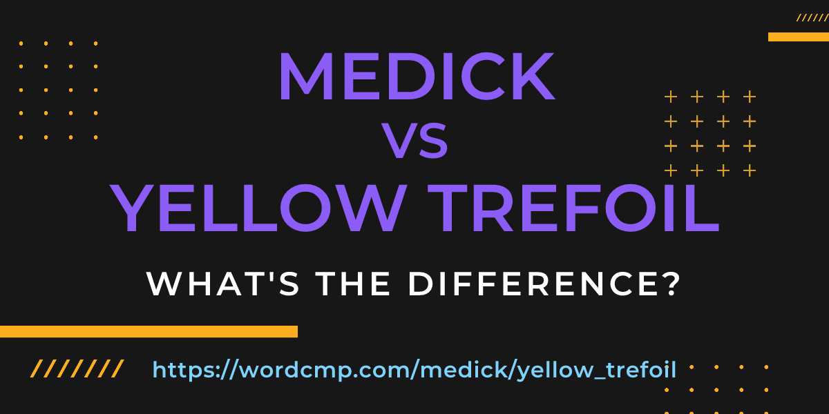 Difference between medick and yellow trefoil