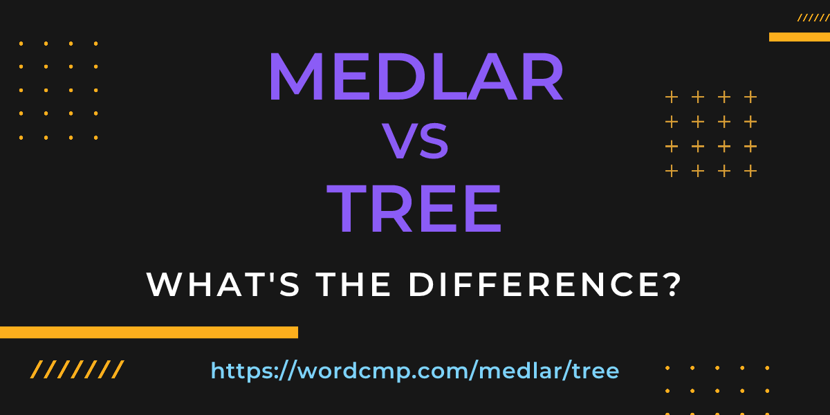Difference between medlar and tree