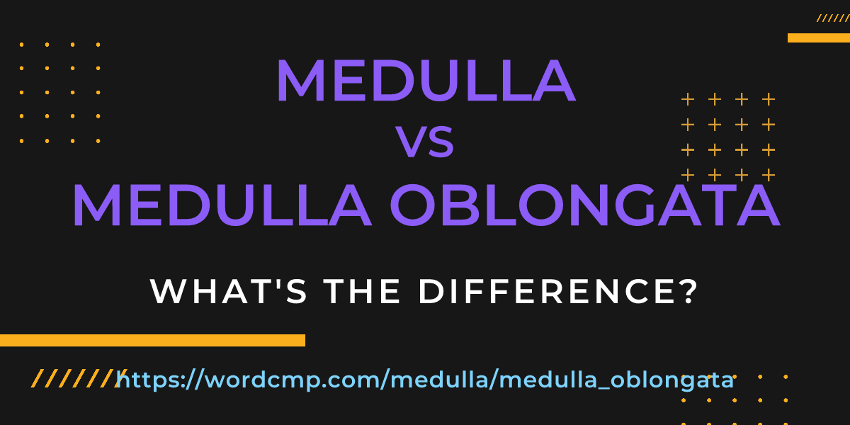 Difference between medulla and medulla oblongata