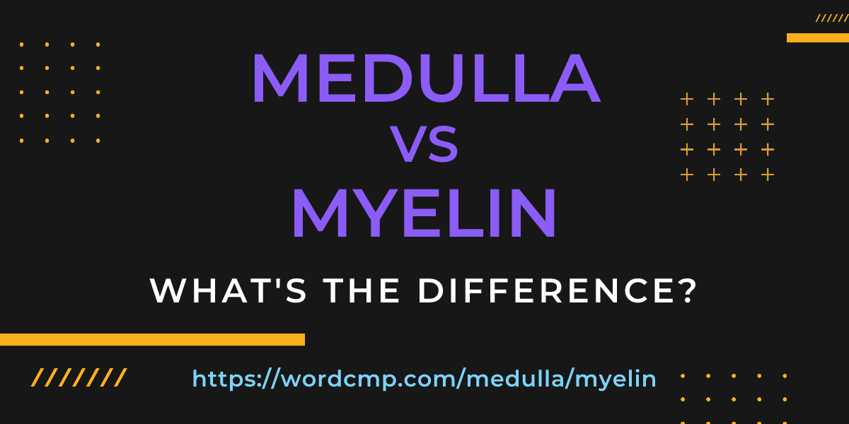 Difference between medulla and myelin