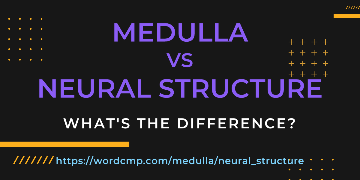 Difference between medulla and neural structure