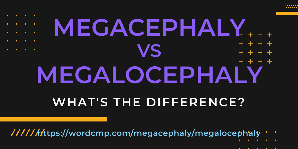 Difference between megacephaly and megalocephaly