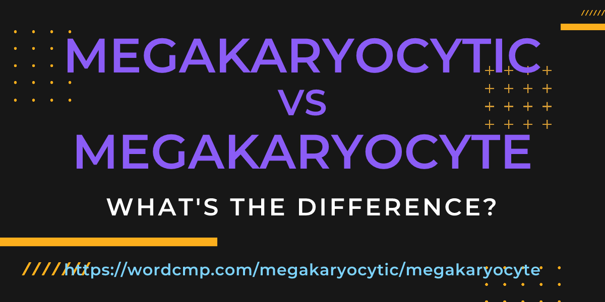 Difference between megakaryocytic and megakaryocyte