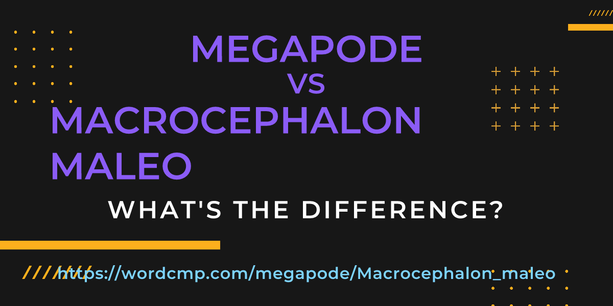 Difference between megapode and Macrocephalon maleo