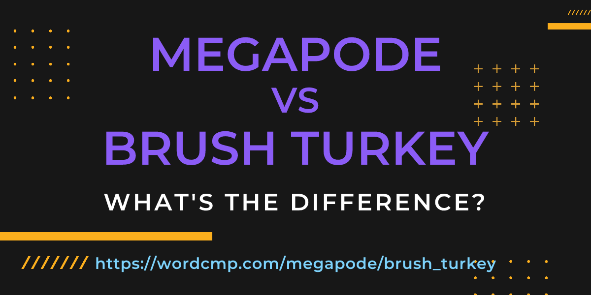 Difference between megapode and brush turkey