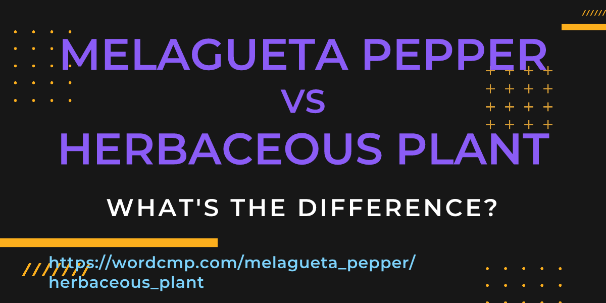 Difference between melagueta pepper and herbaceous plant