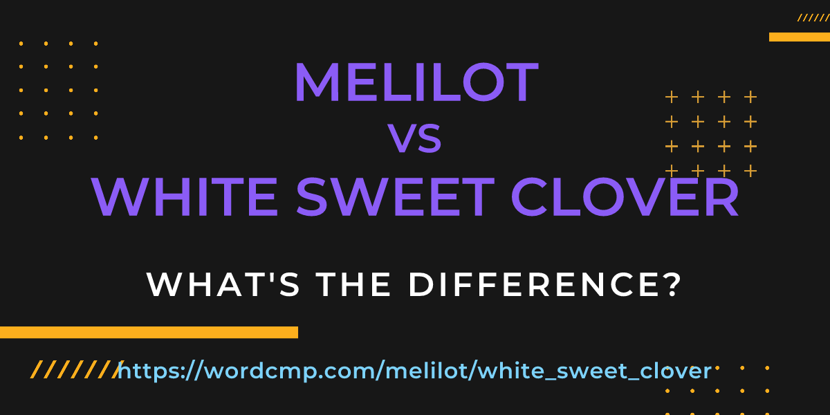 Difference between melilot and white sweet clover