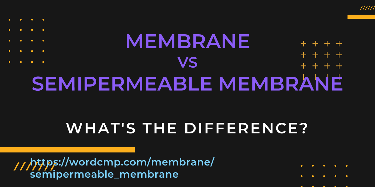 Difference between membrane and semipermeable membrane