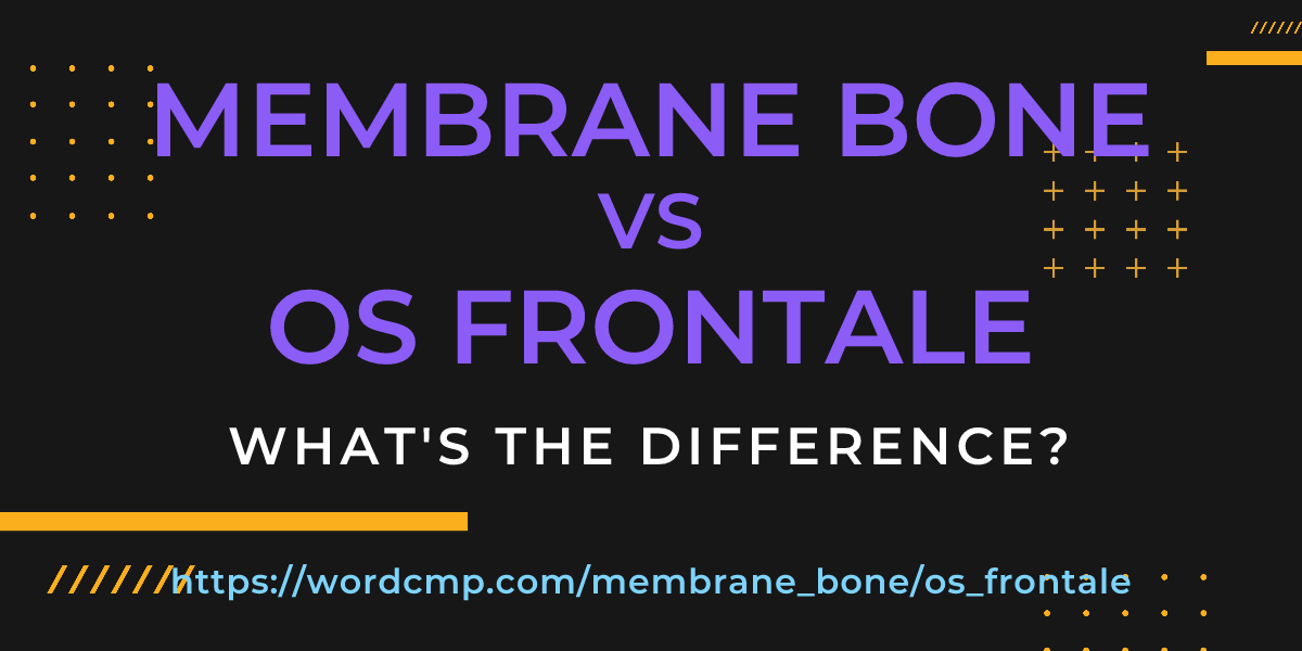 Difference between membrane bone and os frontale