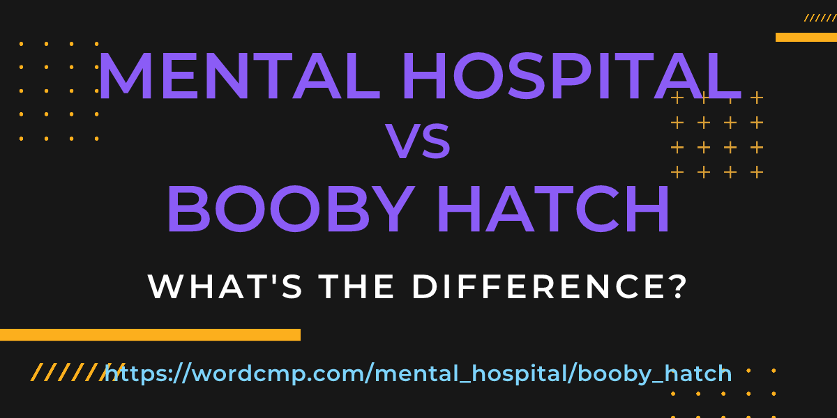 Difference between mental hospital and booby hatch