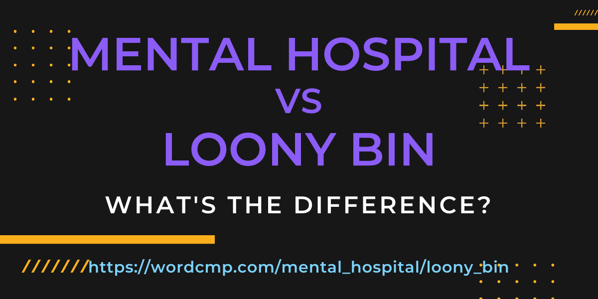 Difference between mental hospital and loony bin