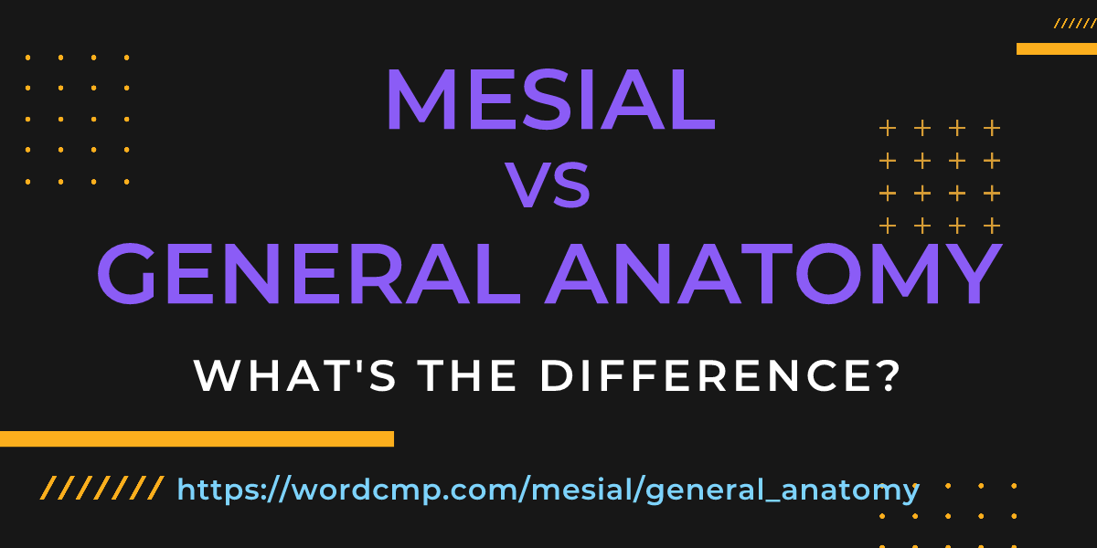 Difference between mesial and general anatomy