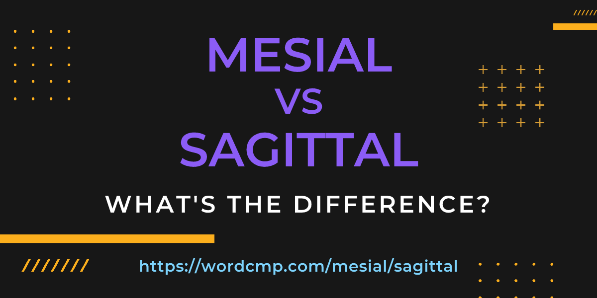 Difference between mesial and sagittal
