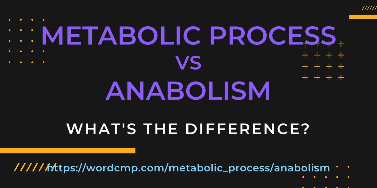 Difference between metabolic process and anabolism
