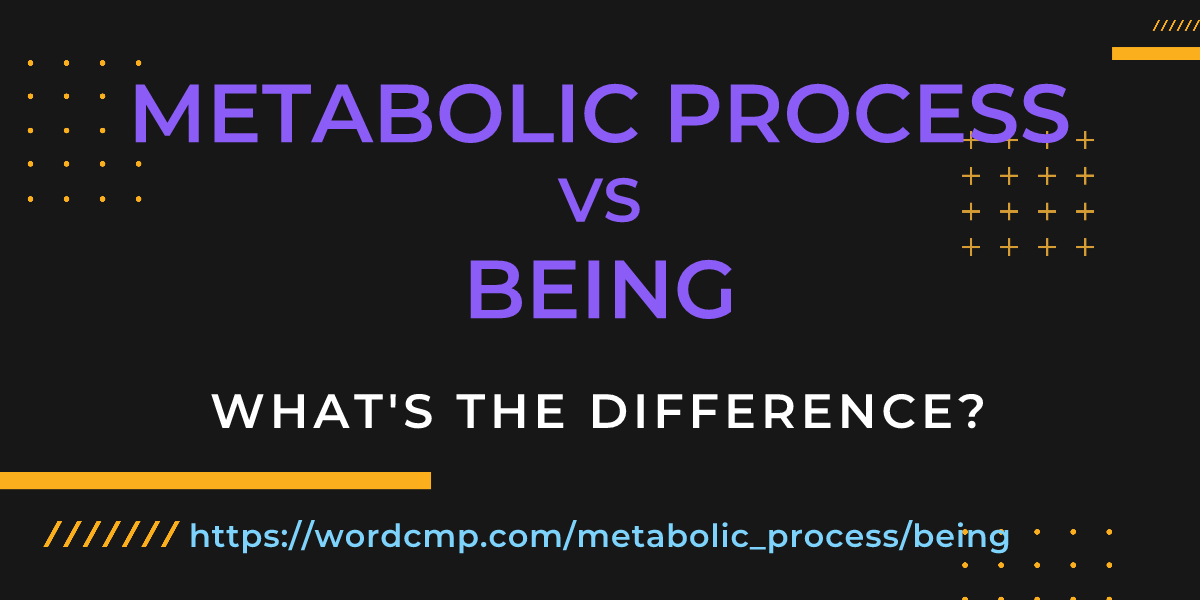 Difference between metabolic process and being