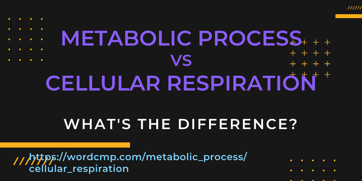 Difference between metabolic process and cellular respiration