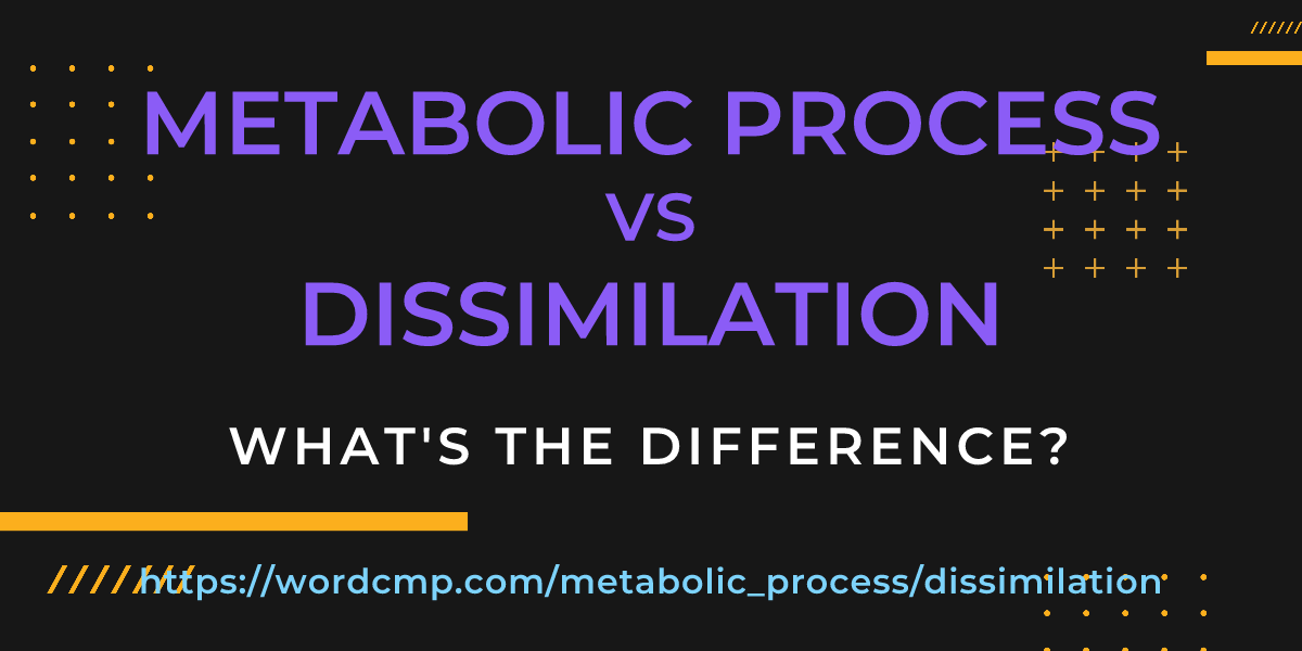 Difference between metabolic process and dissimilation