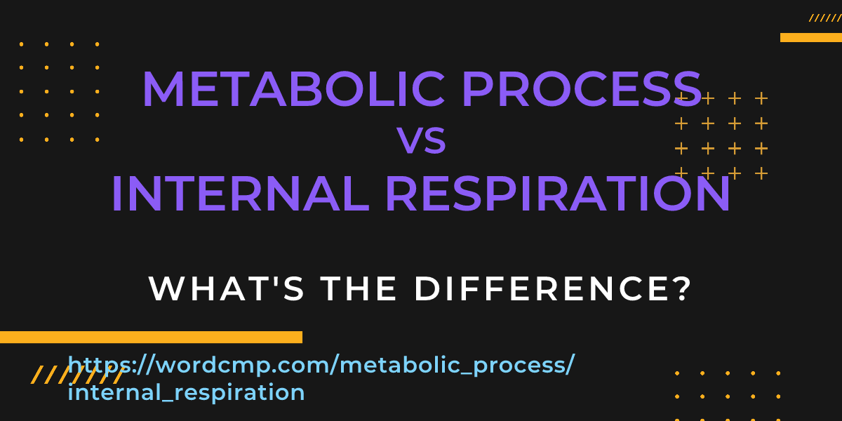 Difference between metabolic process and internal respiration