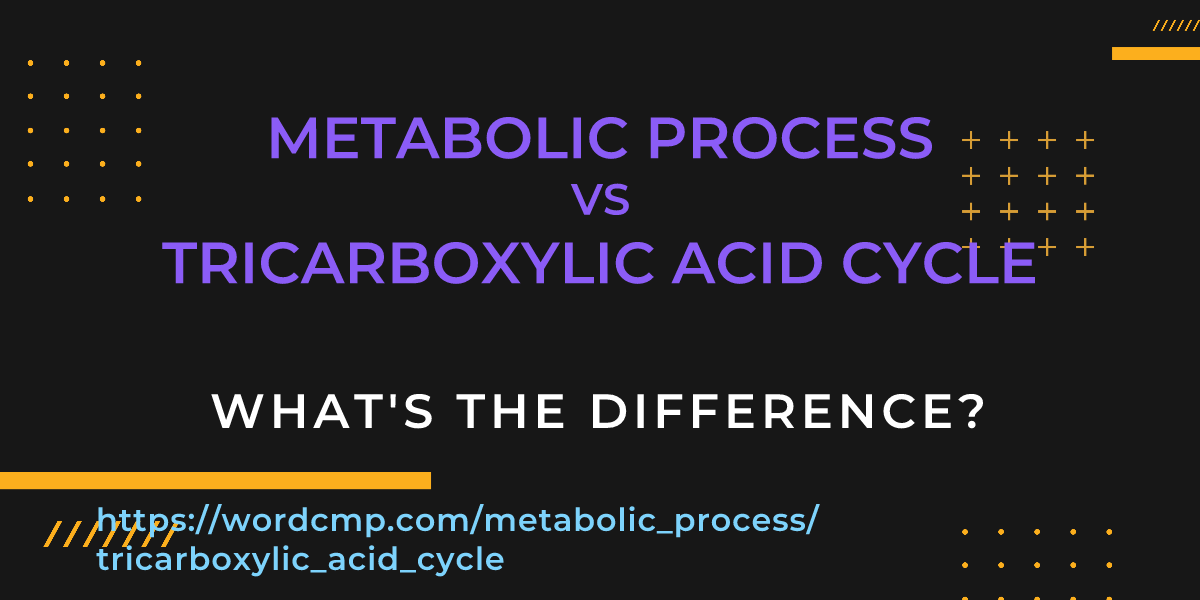 Difference between metabolic process and tricarboxylic acid cycle