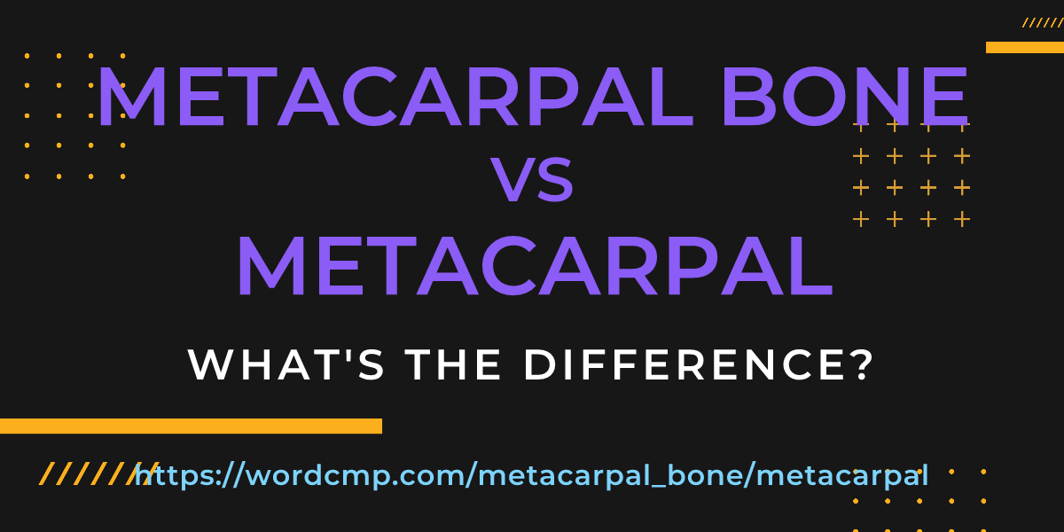 Difference between metacarpal bone and metacarpal