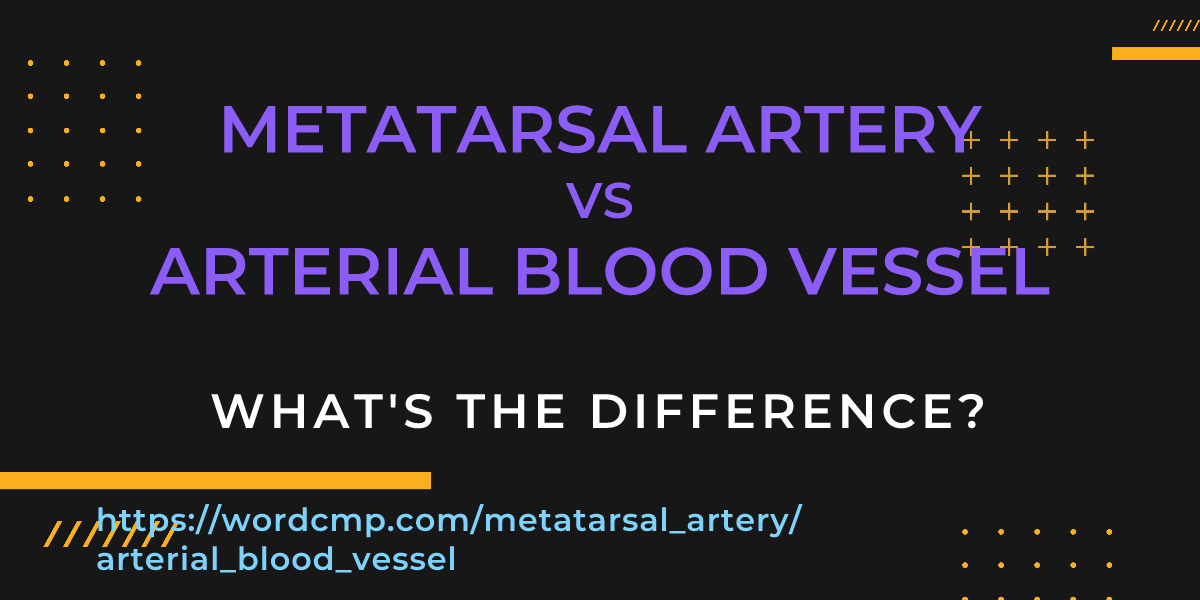 Difference between metatarsal artery and arterial blood vessel