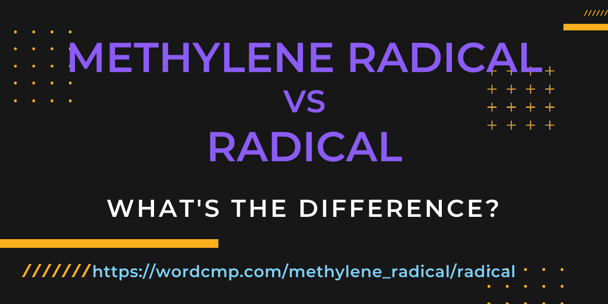 Difference between methylene radical and radical