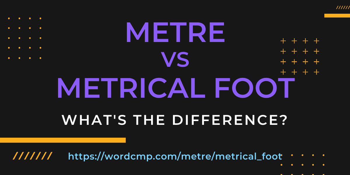 Difference between metre and metrical foot