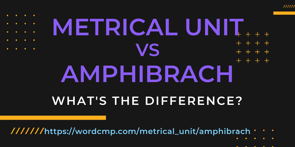 Difference between metrical unit and amphibrach