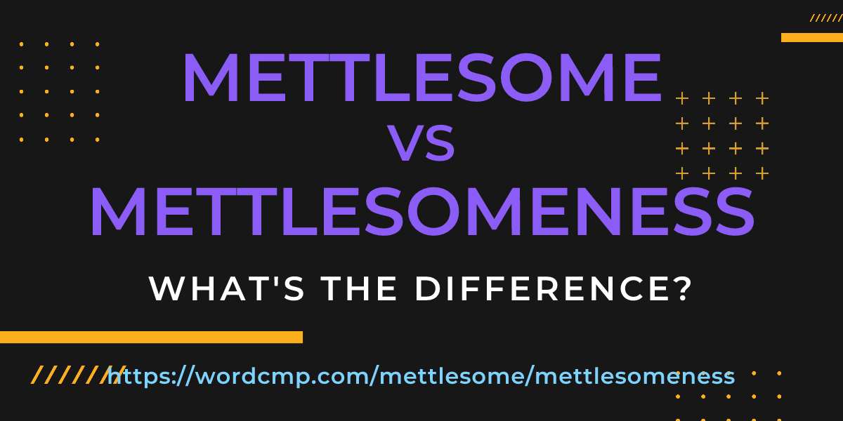 Difference between mettlesome and mettlesomeness