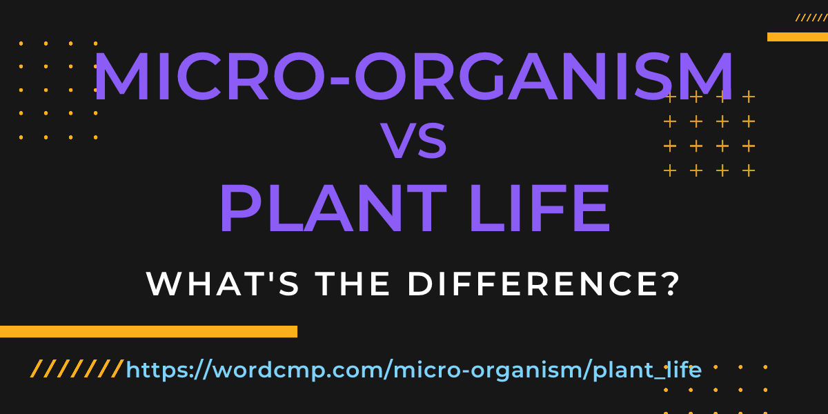Difference between micro-organism and plant life